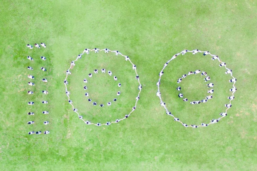 献礼建团100周年 leyu乐鱼中国体育官网供图.jpg 献礼建团100周年 leyu乐鱼中国体育官网供图.jpg
