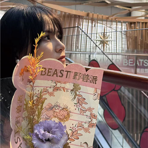 张锦宇