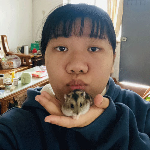 傅诗敏